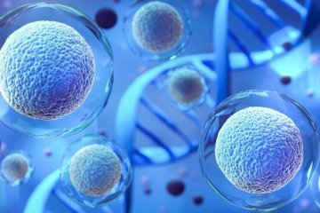 بازار سلول‌درمانی کشور در اختیار شرکت‌های دارای مجوز