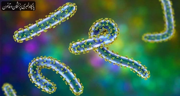 شیوع ویروس کشنده «ماربورگ» در جنوب اتیوپی