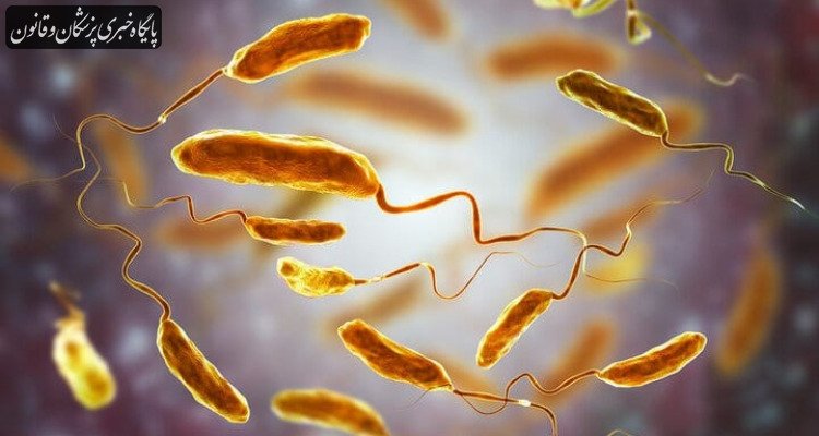 شیوع وبا در «بلوچستانِ» پاکستان جان ۸ نفر را گرفت