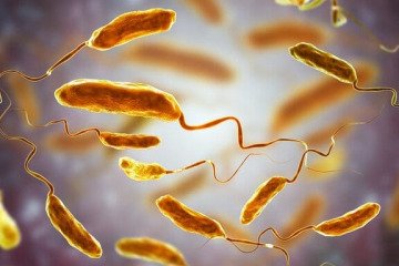 شیوع وبا در «بلوچستانِ» پاکستان جان ۸ نفر را گرفت