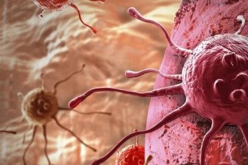 کشف مرگ سلولی می‌تواند به درمان سرطان کمک کند