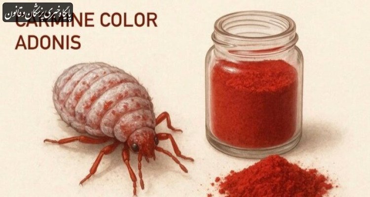 تایید استفاده از رنگ طبیعی قرمز حاصل از پوست برخی حشرات در محصولات غذایی