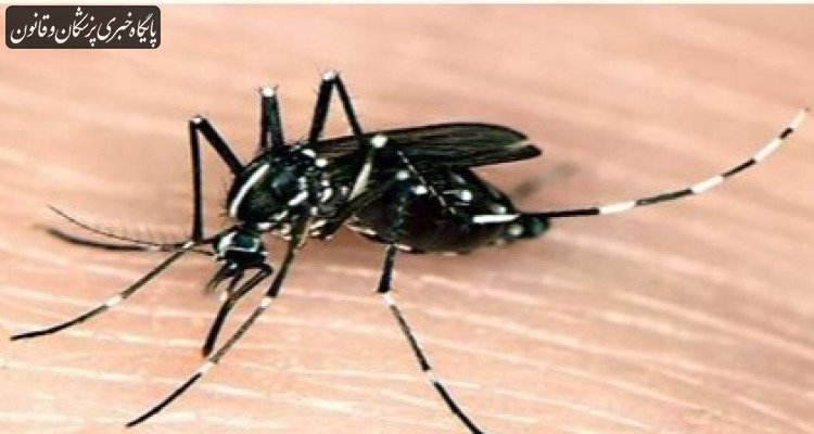 اقدام در جهت عقیم‌سازی پشه آئدس با کمک سازمان انرژی اتمی