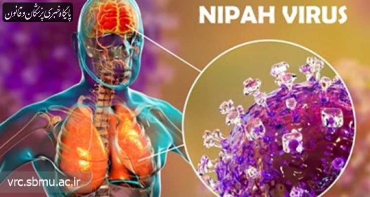 آخرین وضعیت بیماری «نیپا»