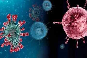 خروج تمام استان‌ها از موج آنفلوآنزا