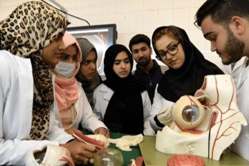 طاق زدن زیرساخت‌های آموزشی ایران با ۷۲۰ میلیون یورو اسکناس