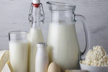 خطر تب مالت با لبنیات محلی