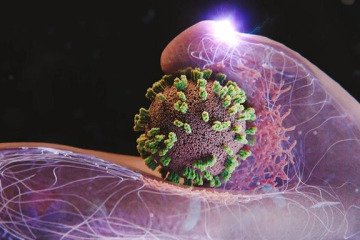 آنفلوآنزا در ۲ استان بالاتر از سطح هشدار