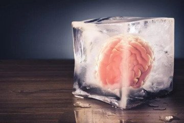 انجماد و احیای بافت زنده مغز ممکن شد