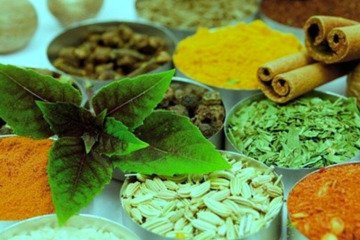 نظام هوشمند ردیابی کالاهای سلامت‌محور وارد فاز جدید اجرایی شد