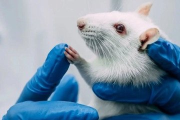 تشکیل کمیته ترویج فناوری‌های جایگزین حیوانات آزمایشگاهی