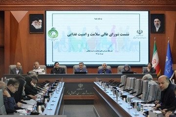 متولدین درمان ناباروری سالی ۸ هزار نفر؛ تلفات تصادفات جاده‌ای سالی ۲۰ هزار جوان