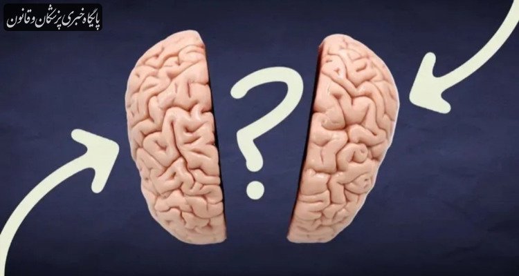 آیا مغز افراد منطقی با افراد احساسی متفاوت است؟ علم چه می‌گوید؟