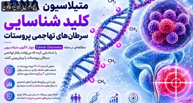 متیلاسیون DNA می‌تواند رفتار تهاجمی سرطان پروستات را پیش‌بینی کند