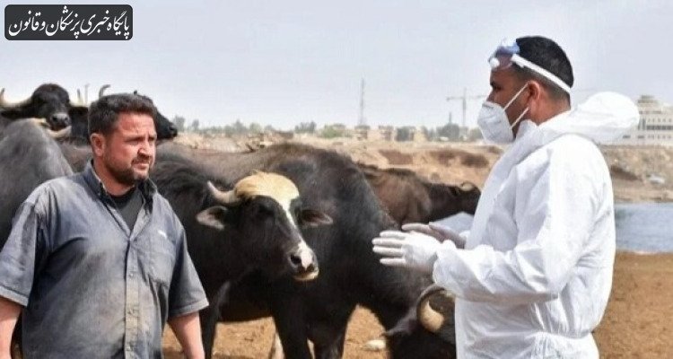 شناسایی ۲۱۹ مورد ابتلا به تب کریمه کنگو در عراق از ابتدای سال جاری میلادی