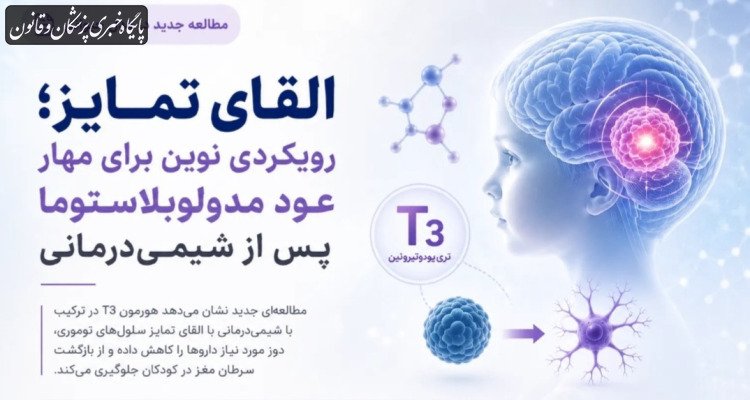 القای تمایز با هورمون T۳؛ رویکردی نوین برای پیشگیری از عود مدولوبلاستوما پس از شیمی‌درمانی