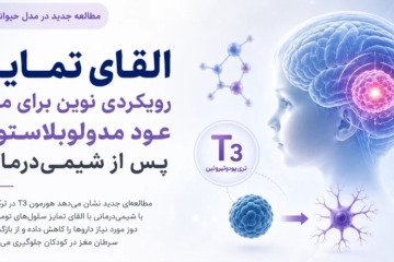 القای تمایز با هورمون T۳؛ رویکردی نوین برای پیشگیری از عود مدولوبلاستوما پس از شیمی‌درمانی