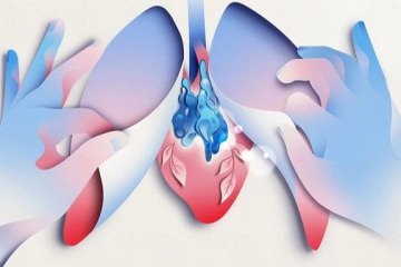 کلید افزایش طول عمر در دست اندامی فراموش شده