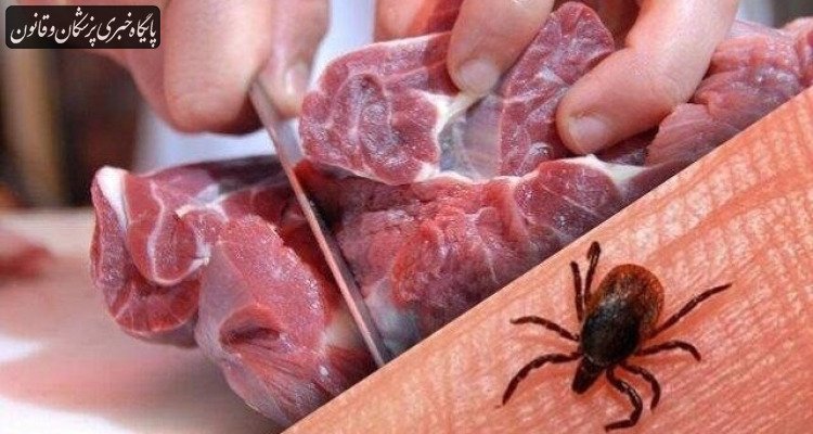 فعالیت کنه‌های ناقل تب کریمه کنگو در تابستان
