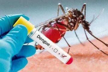 هشدار اوج‌گیری تب دنگی در سریلانکا
