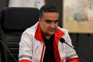 وزیر اقتصاد درک درستی از جایگاه دارو ندارد