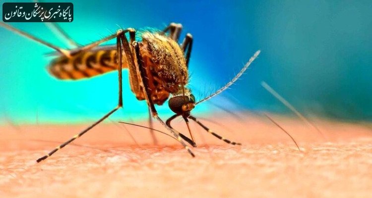 افزایش نگرانی‌ها پس از مرگ ۲ کارمند فرودگاه «فرانکفورت» بر اثر مالاریا