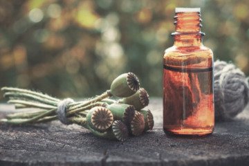 چون دوست دشمن است، شکایت کجا بریم؟