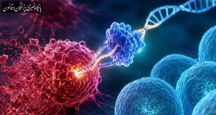 نتایج امیدوارکننده یک درمان جدید در از بین بردن سرطان خون