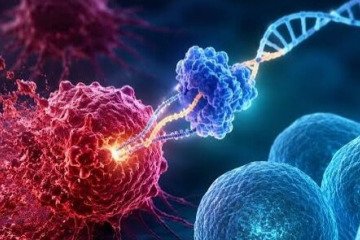 نتایج امیدوارکننده یک درمان جدید در از بین بردن سرطان خون