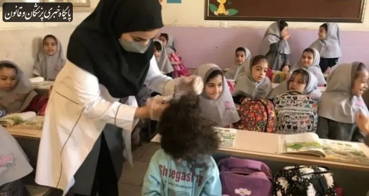 ثبت بیش از ۳۵۵ هزار مورد ابتلا به شپش سر در کشور