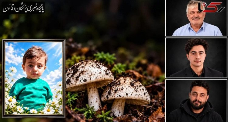 مرگ ۴ عضو یک خانواده به خاطر خوردن قارچ سمی