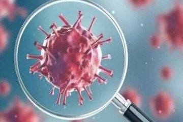 عبور کرونا از آستانه هشدار بالا