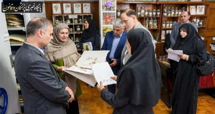 رونمایی از مجموعه مفردات دارویی طب ایرانی و هرباریوم ۱۰هزار نمونه‌ای