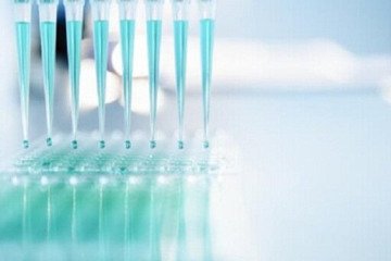 کیت نانویی تشخیصی ایرانی برای شناسایی باکتری مرتبط با سرطان معده