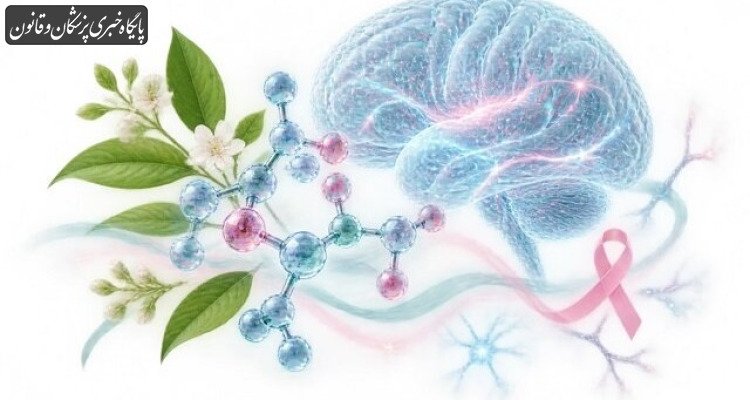 یک مولکول طبیعی برای کاهش «مه‌ذهنی» پس از سرطان پستان