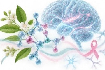 یک مولکول طبیعی برای کاهش «مه‌ذهنی» پس از سرطان پستان
