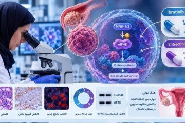 امید تازه پژوهشگران برای هدف‌گیری مسیر مولکولی مقاومت سرطان تخمدان به شیمی‌درمانی