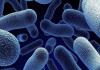 ۱۰ میلیون نوع ژنوم باکتری در بدن ما وجود دارد