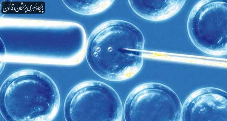سلول‌های بنیادی پرتوان القایی قابلیت‌هایی مشابه سلول‌های بنیادی جنینی دارند