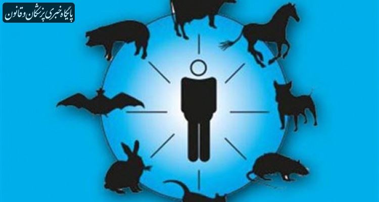 ۶۰ درصد بیماریهای عفونی شناسایی شده در جهان زئونوز هستند ۶۰ درصد بیماریهای عفونی شناسایی شده در جهان زئونوز هستند