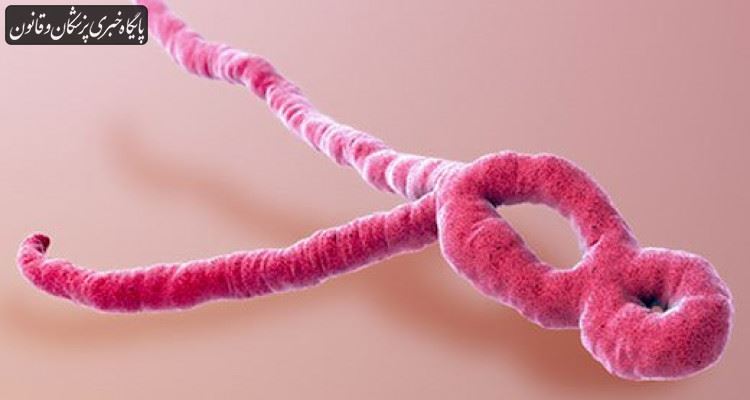 «ابولا» کنگو را در وضعیت اضطراری قرار داد