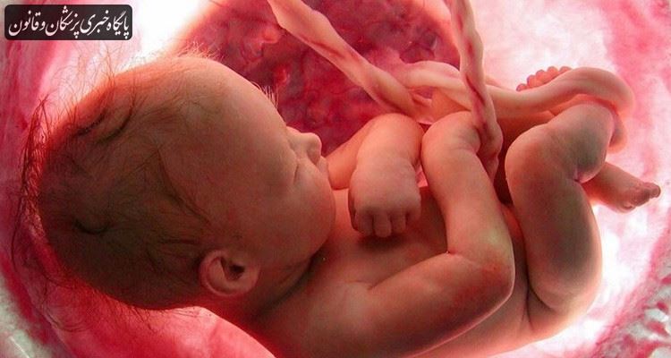 سمینار تازه‌های پروتکل سلامت و پایش جنین