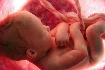 سمینار تازه‌های پروتکل سلامت و پایش جنین