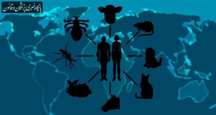 طی ۳۰ سال گذشته آمار ابتلا به هاری در کشور افزایش یافته است طی ۳۰ سال گذشته آمار ابتلا به هاری در کشور افزایش یافته است