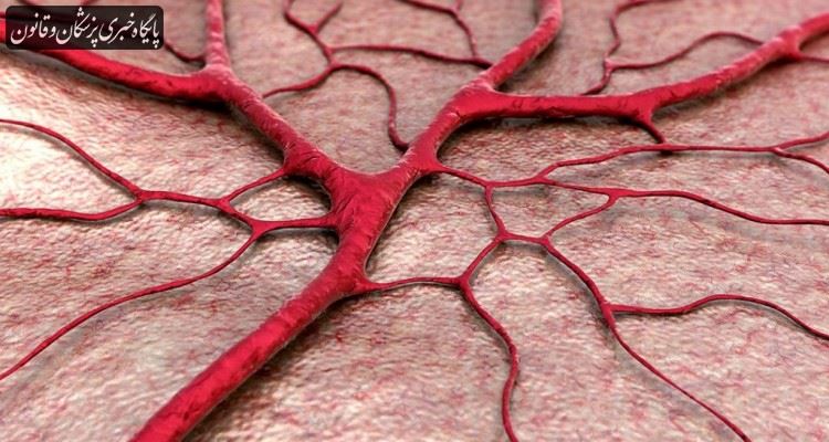 چاپ سه بعدی رگ های خونی در بافت زنده