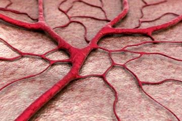 چاپ سه بعدی رگ های خونی در بافت زنده