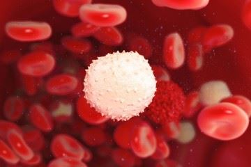 تولید نانو دارویی باقابلیت احیاء سلول‌های سفید خون بعد از شیمی‌درمانی