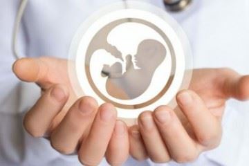 بیش از ۸۰ درصد سقط‌های مکرر در سه‌ ماه‍ه نخست بارداری رخ می‌دهد