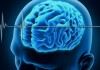 ساخت مغز مینیاتوری به منظور بررسی اختلالات عصبی در مغز