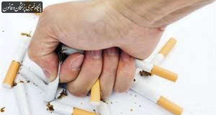 ارتباط مستقیم استعمال دخانیات و ۲۴ نوع سرطان